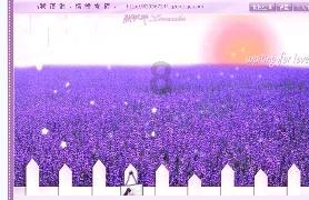 单间木屋逃脱